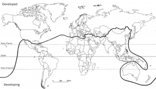 The Brandt Line